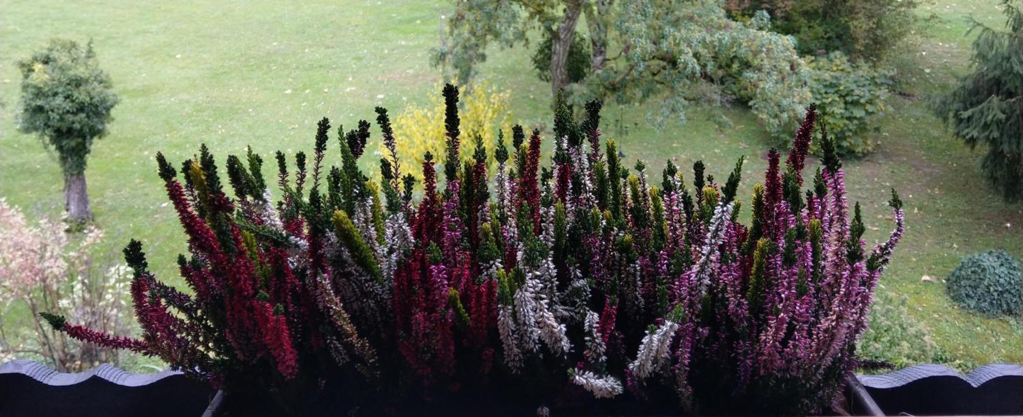 Domaine De L'Olifant Acomodação com café da manhã Champanges Exterior foto